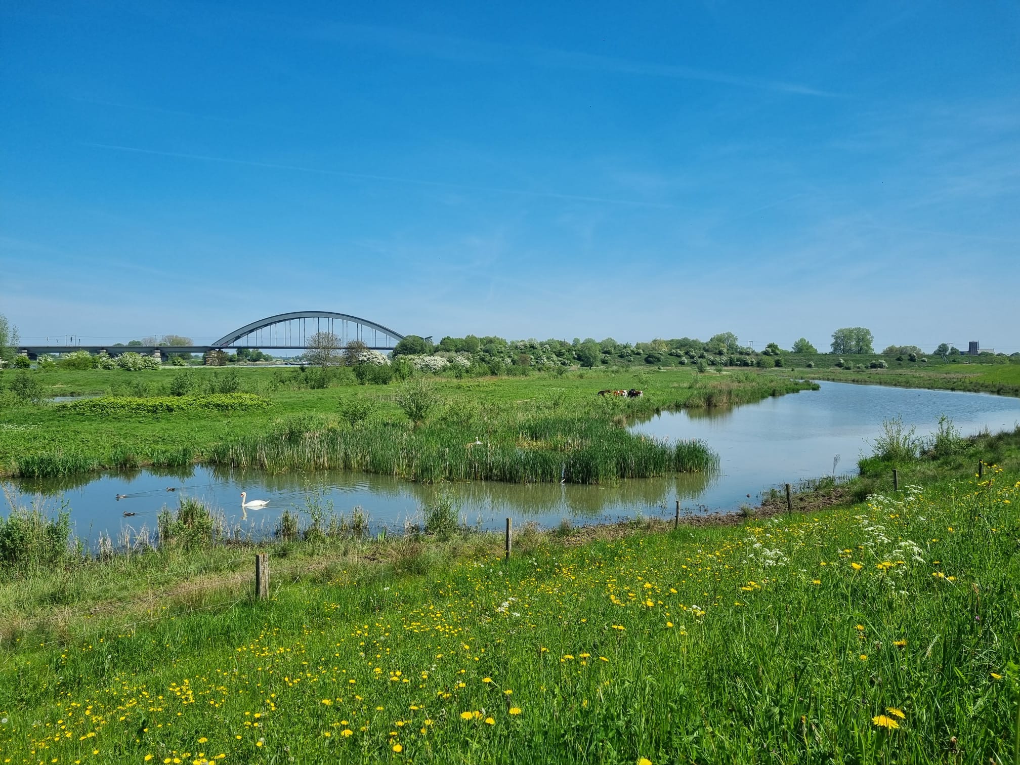 Culemborg